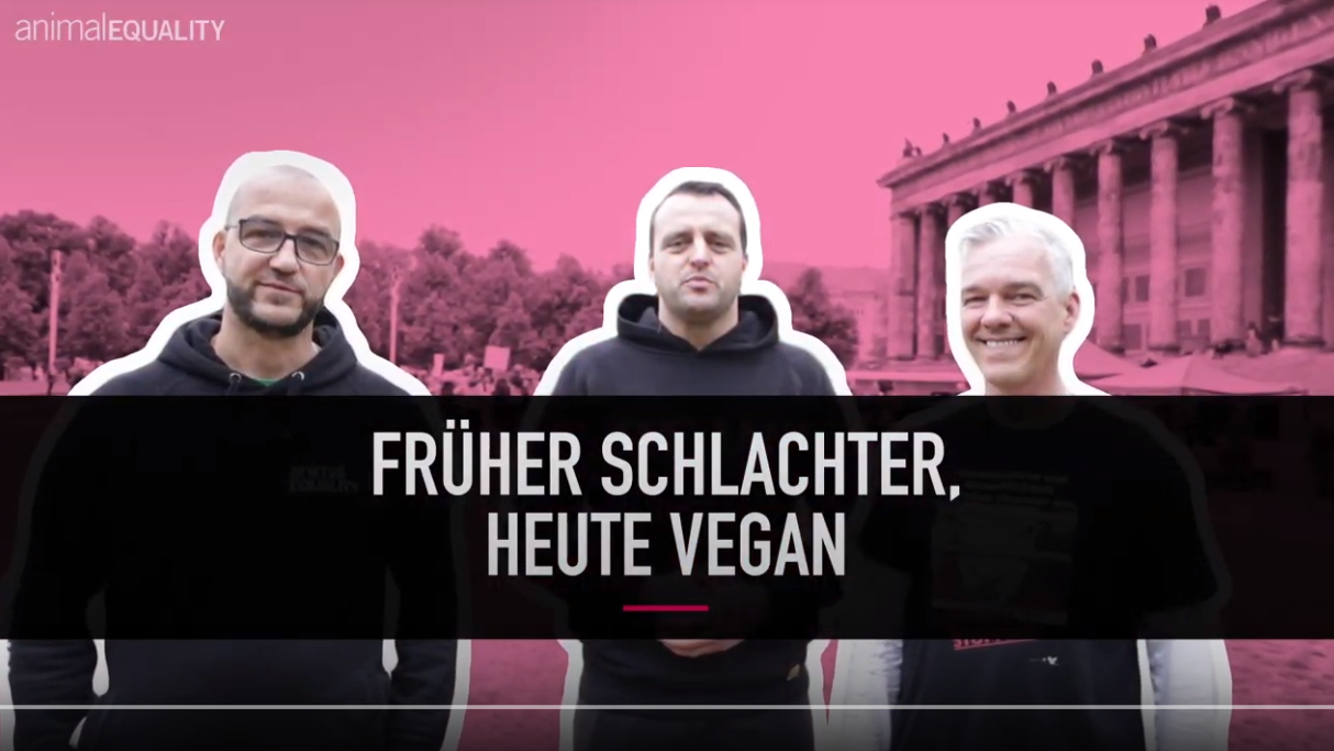 Früher Schlachter, heute vegan drei ehemalige Fleischer packen aus