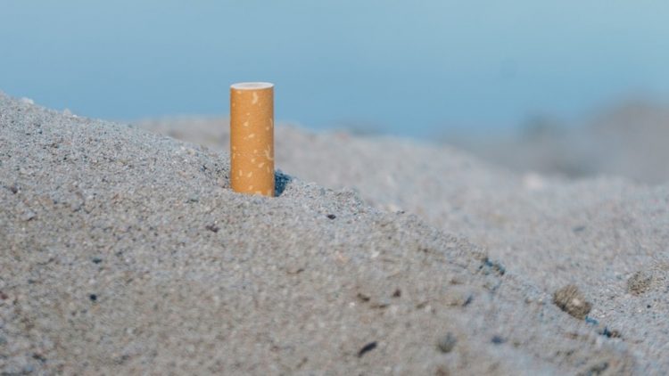 Neues Leben für alte Kippen