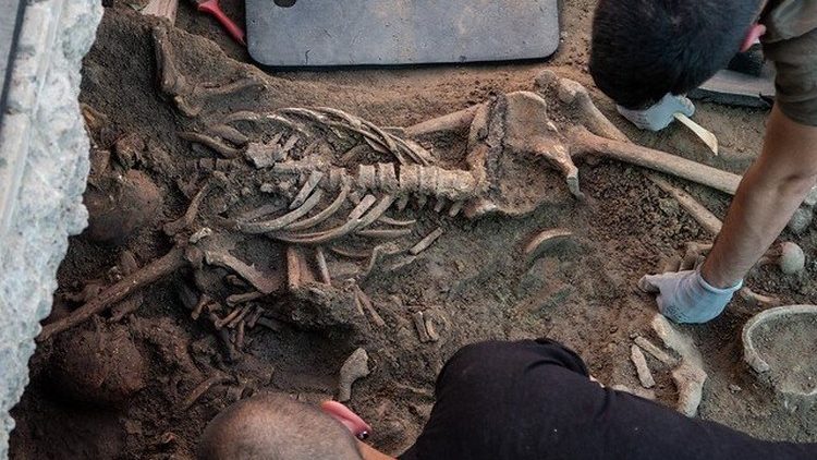 Le gouvernement espagnol exhorté à rechercher les personnes disparues du régime franquiste