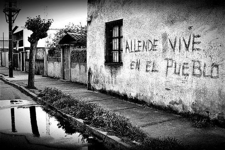 Allende Vive