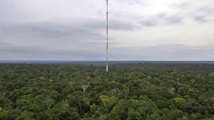 L'osservatorio Amazzonico ATTO (Amazon Tall Tower Observartory)