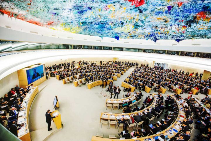 Consiglio Diritti Umani ONU