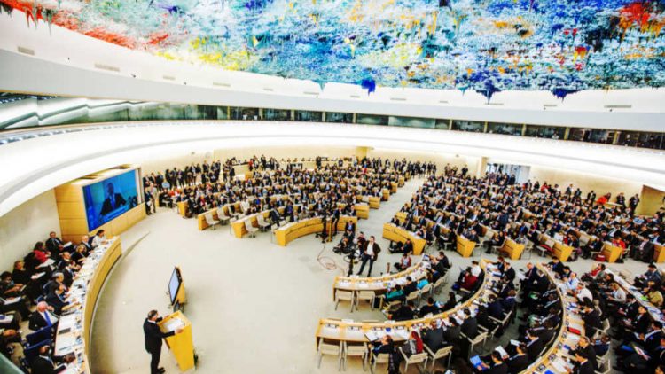 Consiglio Diritti Umani ONU