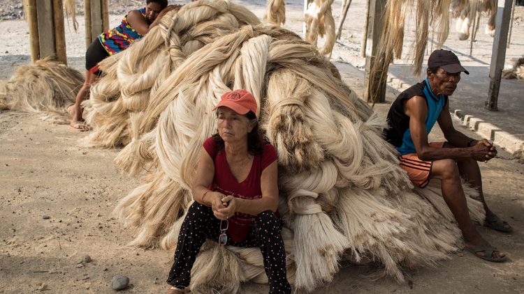 Abacá y la gente que lo proceso