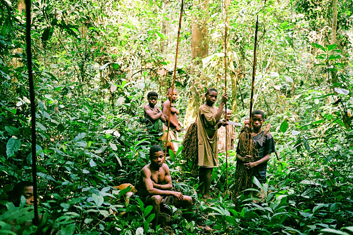 Джунглях живут люди. Племя пигмеев.