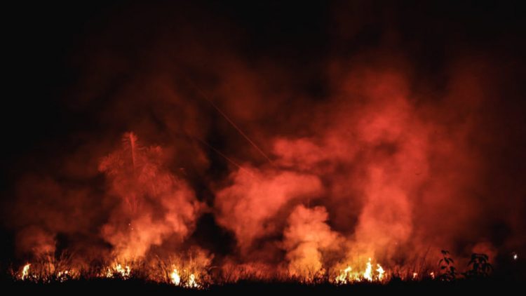 Amazone : la nuit en flammes