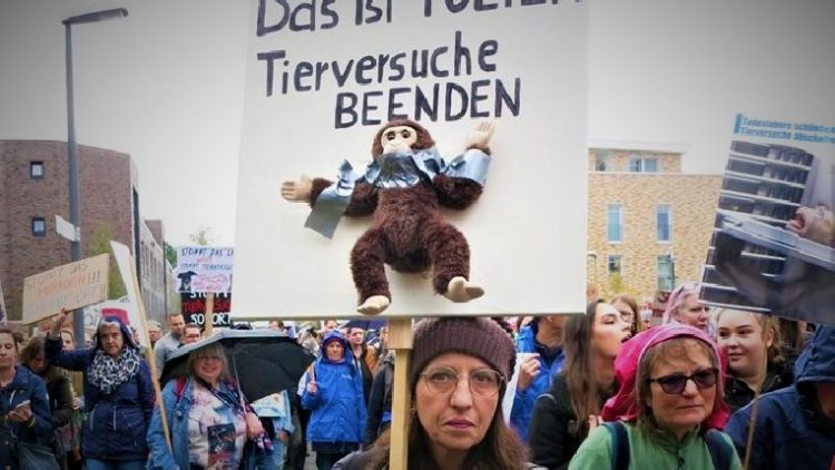 Während Tausende gegen das Todeslabor LPT bei Hamburg demonstrieren, verleiht das Bundesministerium für Ernährung und Landwirtschaft den Tierschutzforschungspreis und vergibt weiterhin Gelder an Institutionen, die untätig bleiben. Derweil wird in deutschen Tierversuchs-Labors munter weitergequält. Dabei sind Tierversuche ein Auslaufmodell, Deutschland hinkt hinterher.