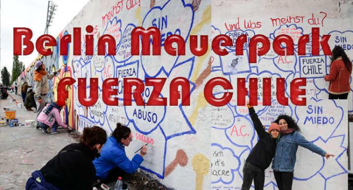 Fuerza Chile - Solidarität aus Berlin