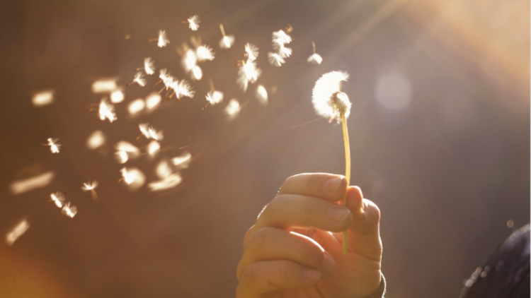 Die Gemeinwohl-Ökonomie: Anregungen für eine sanfte Revolution durch Rückbesinnung auf unsere Verfassungswerte