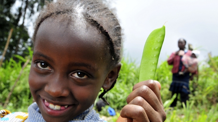 The Huge Potential of Agriculture to Slow Climate Change