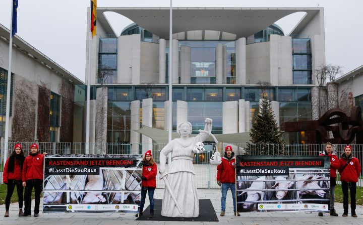 Protestaktion in Berlin gegen die illegale und tierquälerische Kastenstandhaltung von Muttersauen: Bundeslandwirtschaftsministerin will das bereits 2015 ergangene Urteil einfach umgehen und die Kastenstandhaltung für weitere 17 Jahre verlängern.