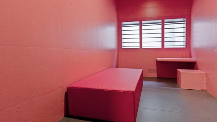 Geschichte des Schweizer Strafsystems: Repression und Wahnsinn