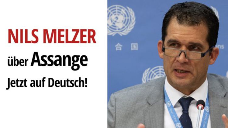 UN-Sonderberichterstatter Nils Melzer über den Fall Julian Assange