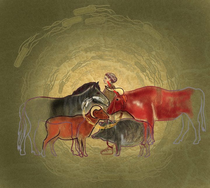 Älteste bislang rekonstruierte Bakterien-Genome zeigen: Landwirtschaft und Viehzucht brachten neue Krankheiten mit sich