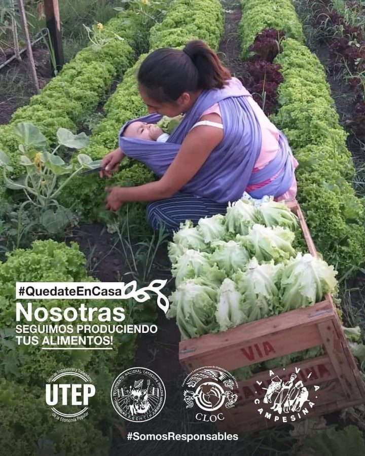 Covid19 : plusieurs membres de La Via Campesina alertent sur la vulnérabilité des paysan·ne·s et des travailleurs agricoles