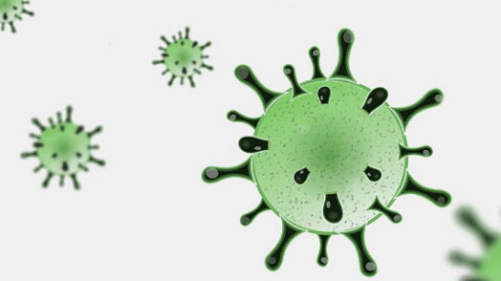 coronavirus covid-19