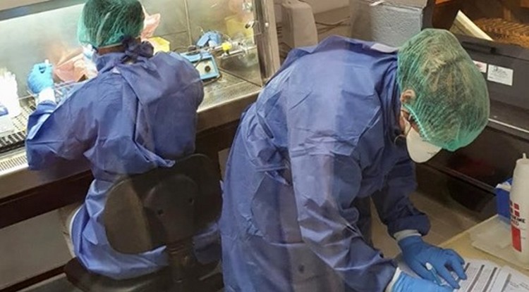 Daniel León - Una mirada humanista sobre la crisis