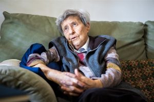 Protestbewegungen haben in diesem Land (Ungarn) keine Tradition