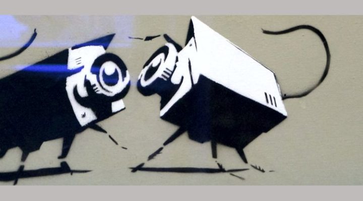 Überwachungsmassnahmen müssen auch unter Notrecht verhältnismässig sein