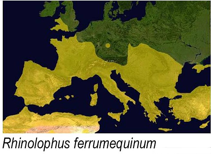 Diffusione del Rinolophus ferrumequinum nell'area europea