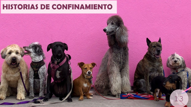 Histoires de confinement / 13