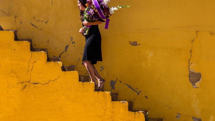 Ces promeneurs attachants