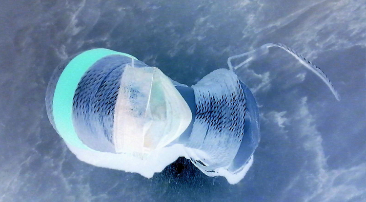 L’unicité de l’être humain est un trésor à sauver