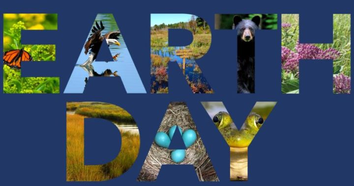 Zum 50. Earth Day: stell dir eine gerechte, grüne, pandemiefreie Zukunft vor