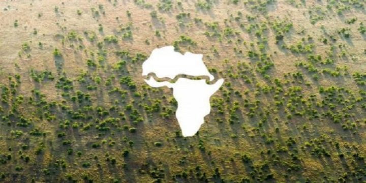 Die UN fordert mehr Unterstützung für die grüne Mauer Afrikas