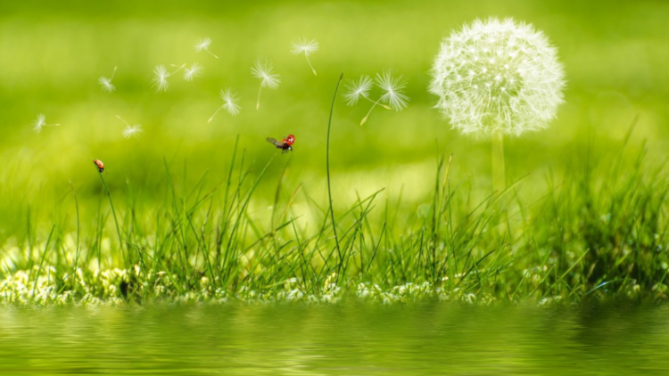 Wertewandel als größte Chance: Weniger Wachstum, mehr Gemeinwohl Die Gemeinwohl-Ökonomie veröffentlicht Empfehlungen für die Wirtschaftspolitik nach der Corona-Krise