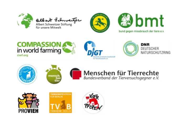 Sauenhaltung in Deutschland Tierschutzorganisationen