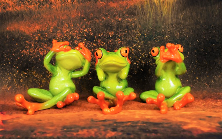 Smart-Meter Rollout: Nur noch die Grünen können ihn stoppen, aber wollen die das?