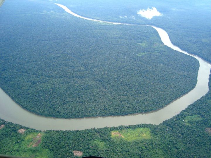 Amazonas-Regenwald von lebensbedrohlichen Dürren getroffen