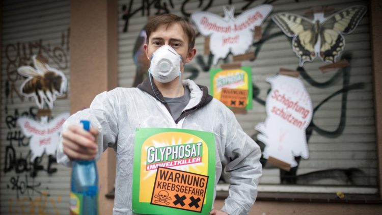 Zensurheberrecht: Glyphosat-Gutachten Donnerstag (wieder) vor Gericht!