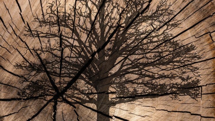 Neuer Wirtschaftskreislauf - Corona zeigt, wie es geht