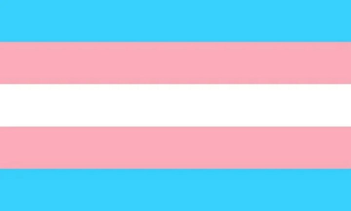 Bandiera transgender
