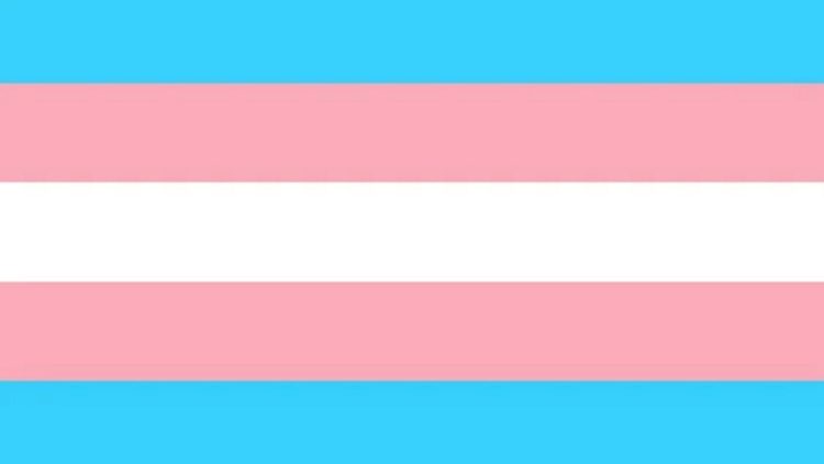 Bandiera transgender
