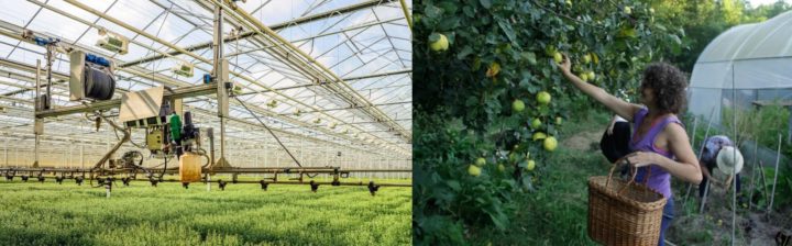 Changement de paradigme : Permaculture contre AgTech