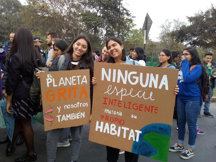 bosques grupos de base