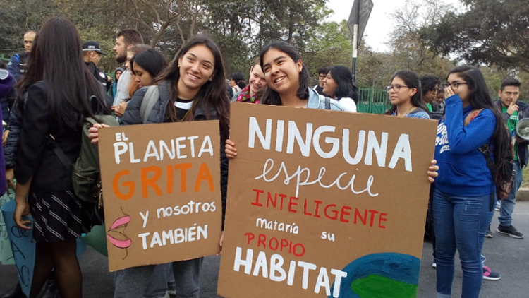 bosques grupos de base