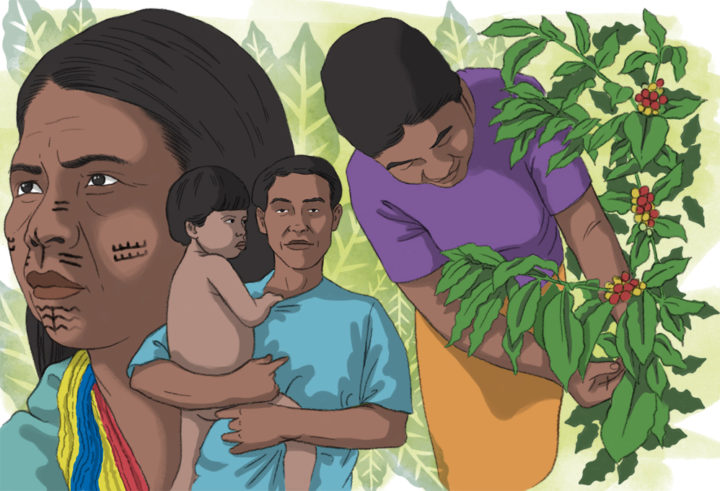 Indígenas del Eje Cafetero sufrimos amenazas y asesinatos