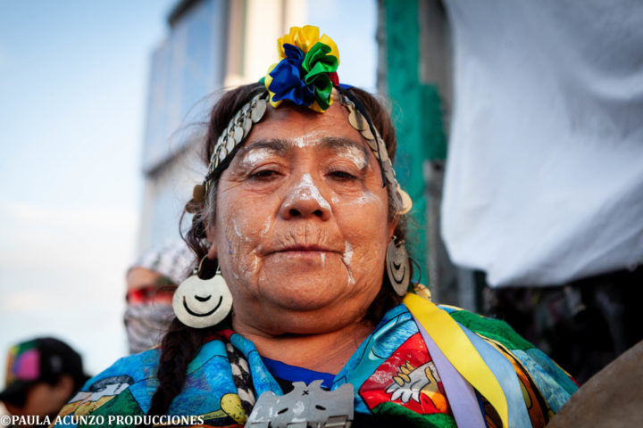 Mujer mapuche - Paula Acunzo