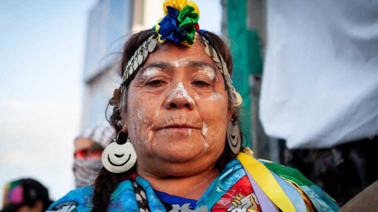 Mujer mapuche - Paula Acunzo