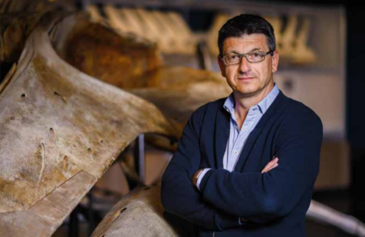 Coronaviren – wenn die Natur plötzlich zurückschlägt - Interview mit Prof. Dr. Matthias Glaubrecht