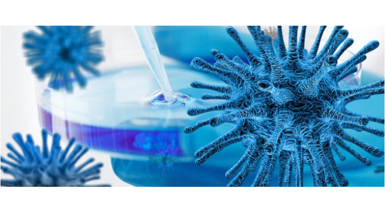 Pétition pour le vaccin COVID-19 universel et gratuit