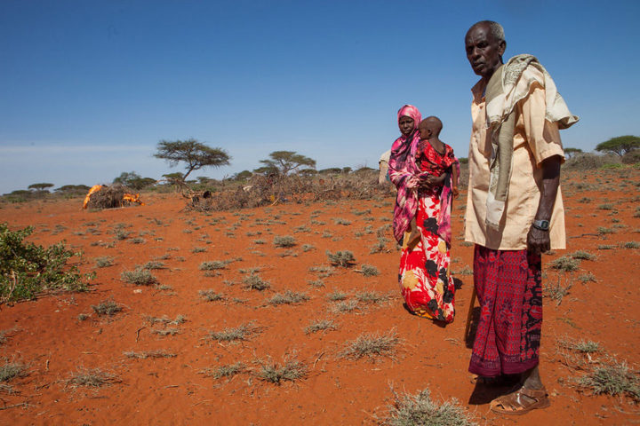 L’OMS déclare que l’Afrique est exempte du virus de polio sauvage