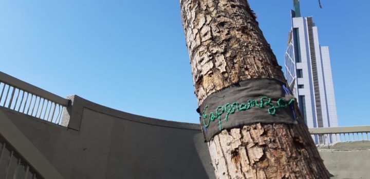 esperanza - Claudia Aranda