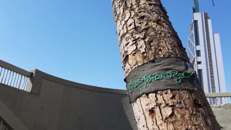 esperanza - Claudia Aranda