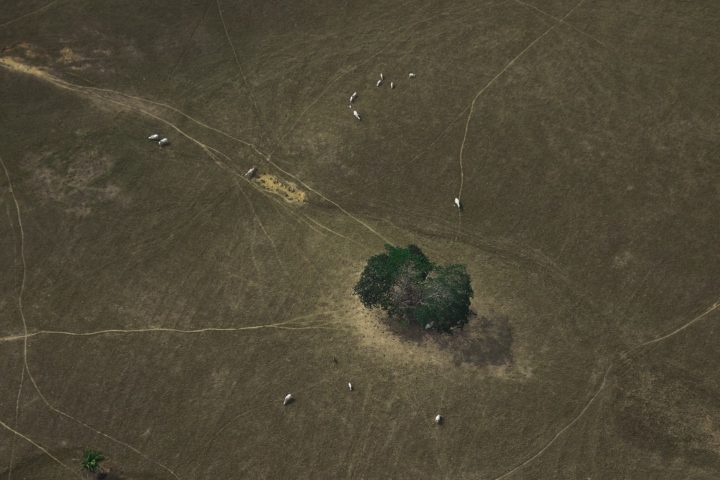 Bajo-Cauca-1_Foto-Donaldo-Zuluaga