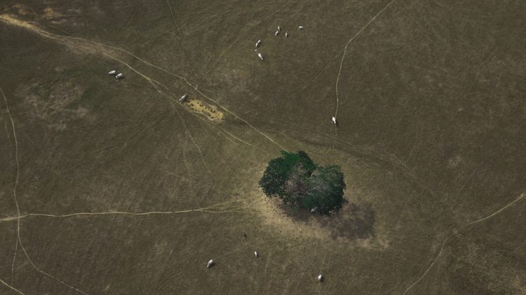 Bajo-Cauca-1_Foto-Donaldo-Zuluaga